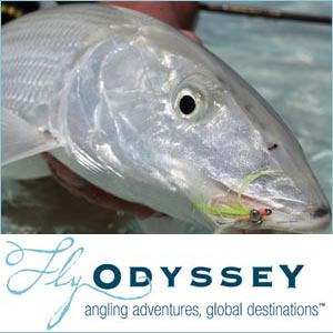 www.flyodyssey.co.uk