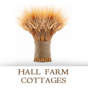 www.hall-farm-cottages.co.uk